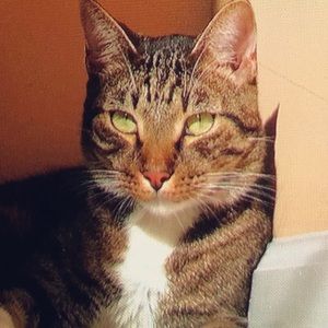 Meet your Posher, Jada